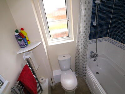 Picture 7